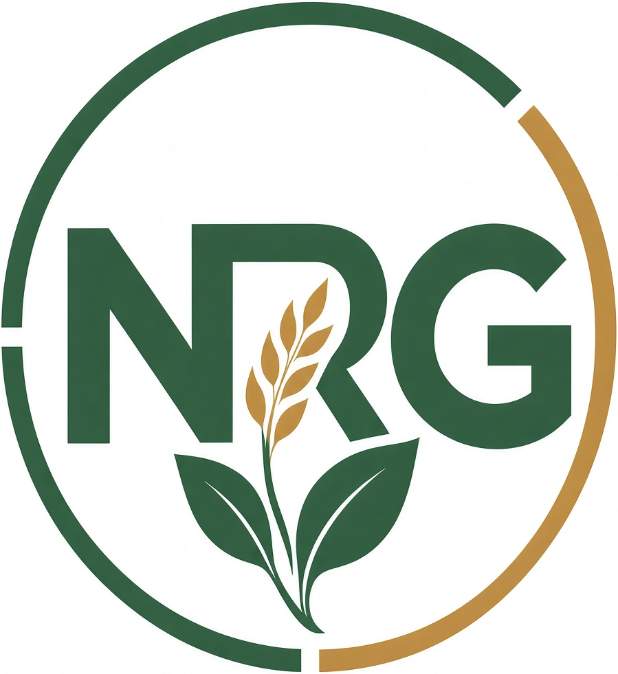 NRG Commodities
